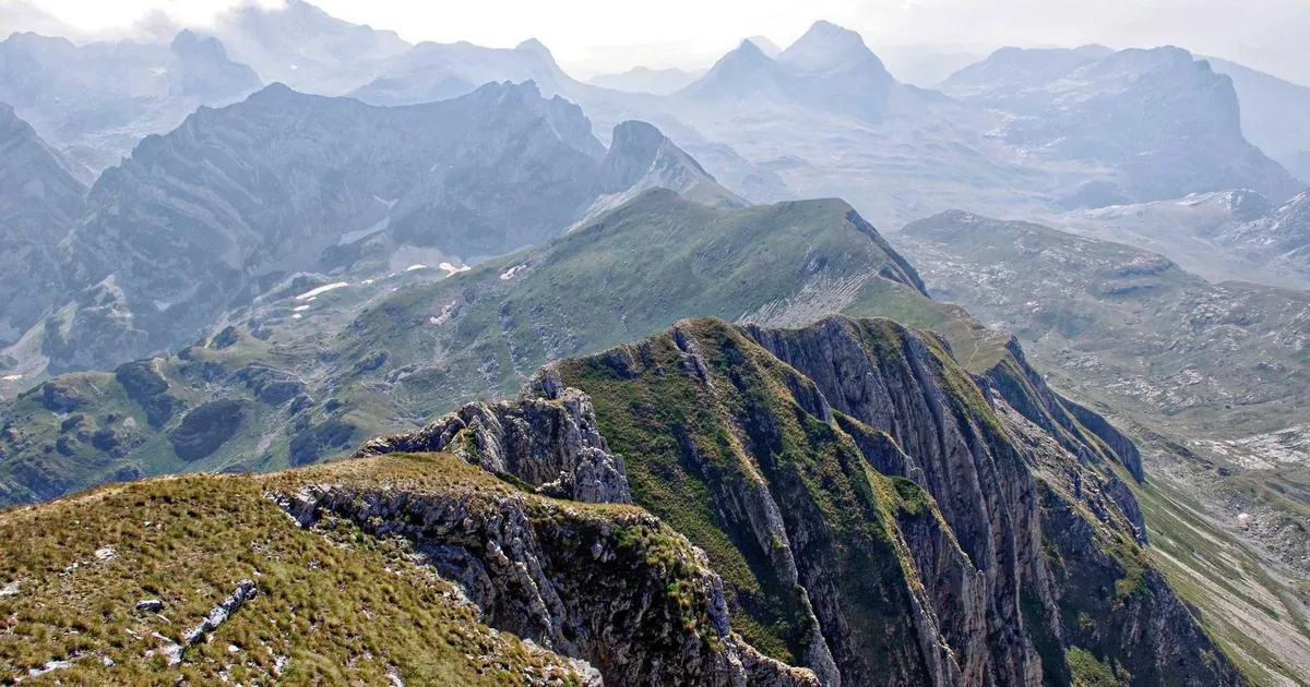 Accidents tragiques dans le Tarn : un après-midi noir sur les routes
