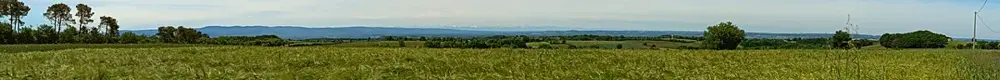 Chaîne des Pyrénées depuis Montredon-Labessonnié