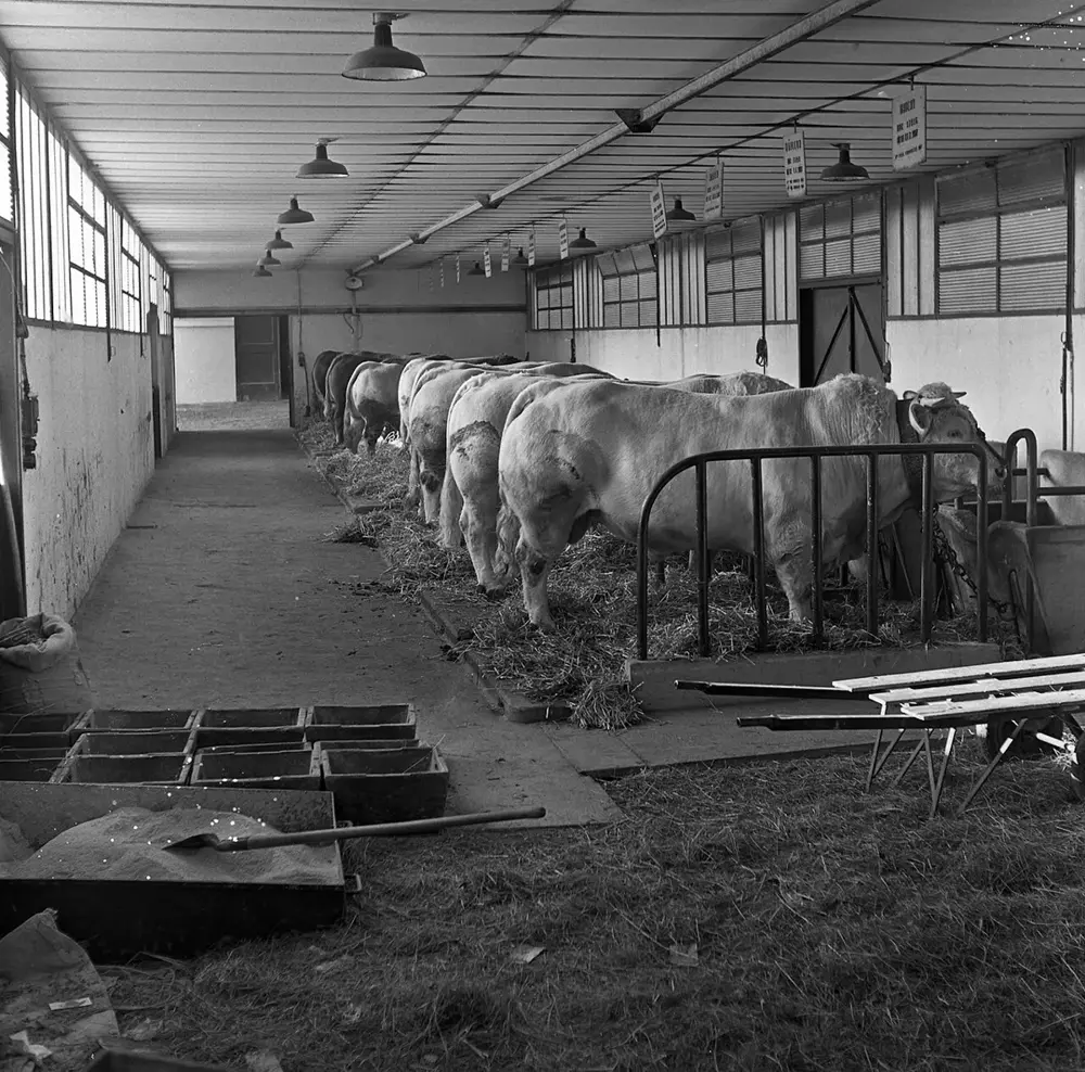 1970 Reportage à Soual Cliché Jean Joseph Weber