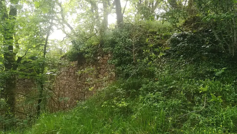 Château de Montredon 01